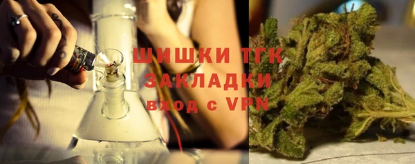 молекула духа Кулебаки