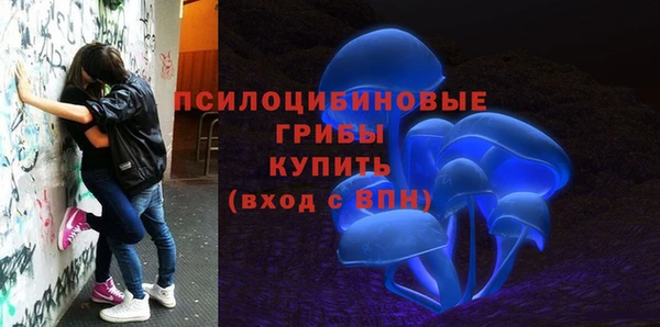 первитин Кукмор